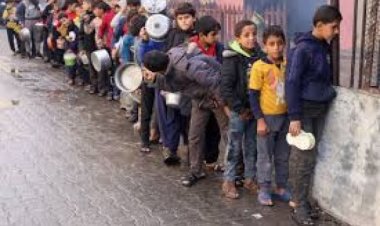 2023 में 28.2 करोड़ लोग भूख से तड़पने को हुए मजबूर, गाजा में भीषण अकाल : संयुक्त राष्ट्र