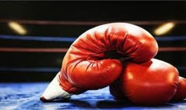 चार भारतीय एएसबीसी एशियाई अंडर-22 और युवा मुक्केबाजी चैंपियनशिप के सेमीफाइनल में