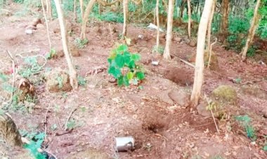 फोर्स ने जंगल में बरामद किया कुकर बम