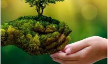 जलवायु परिवर्तन से मस्तिष्क संबंधी समस्याओं से पीड़ित लोगों पर असर पड़ने की आशंका: अध्ययन