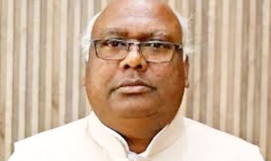 लोकसभा निर्वाचन 2024 : चिंतामणि महाराज को 12991 वोटों की बढ़त