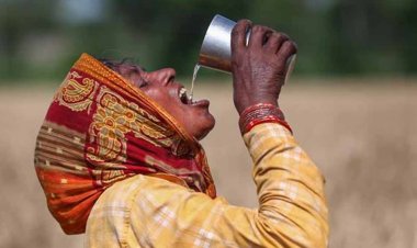 यूपी-बिहार से राजस्थान तक हीटवेव का अलर्ट, देश के मौसम पर IMD ने दी ये जानकारी