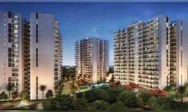 आय बढ़ने के साथ भारत में बढ़ रही लग्जरी प्रॉपर्टी की मांग : रिपोर्ट