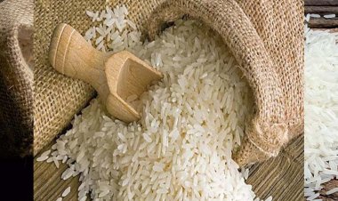 सरकार ने मलावी, जिम्बाब्वे को 2,000 टन गैर-बासमती सफेद चावल के निर्यात की अनुमति दी