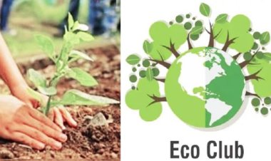 छत्तीसगढ़ के सभी स्कूलों में होगा इको क्लब गठन