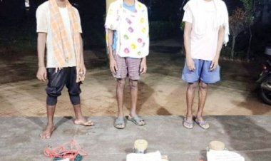 जंगल से 3 नक्सली विस्फोटक के साथ गिरफ्तार