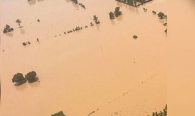 उत्तरी चाड में लगातार बारिश के बाद आई बाढ़ में 50 से अधिक की मौत