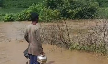 बैडारी पंचायत का फूटा तालाब:पार फूटी या फोड़ी गई जांच में जुटे एसडीएम, 1000 बीघा के खेत होते थे सिंचित