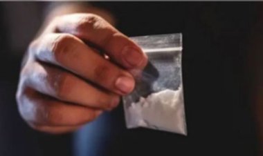 तुर्की में ड्रग तस्करी के आरोप में 336 संदिग्ध गिरफ्तार