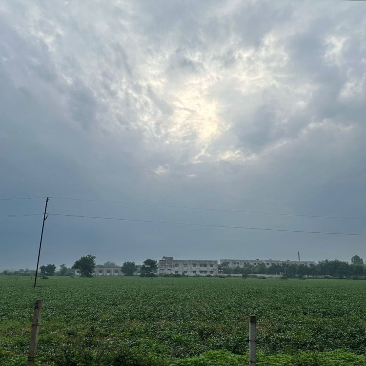 अगले 24 घंटे में तेज बारिश का अनुमान:जिले में 22.65 इंच पहुंचा औसत बरसात का आंकड़ा