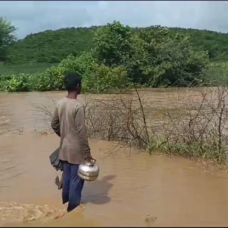 बैडारी पंचायत का फूटा तालाब:पार फूटी या फोड़ी गई जांच में जुटे एसडीएम, 1000 बीघा के खेत होते थे सिंचित