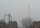 उमरिया में कोहरे ने दी दस्तक:मौसम में आई ठंडक, तापमान में आई गिरावट, 25 डिग्री सेल्सियस दर्ज हुआ तापमान