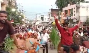 खरगोन में पोला उत्सव मनाया:बैलों को सजाकर जुलूस निकाला, किसानों ने तोरण तोड़ने की परंपरा निभाई