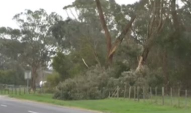 पेरिस पैरालंपिक : योगेश कथुनिया ने डिस्कस थ्रो में जीता रजत पदक