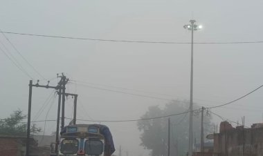 उमरिया में कोहरे ने दी दस्तक:मौसम में आई ठंडक, तापमान में आई गिरावट, 25 डिग्री सेल्सियस दर्ज हुआ तापमान