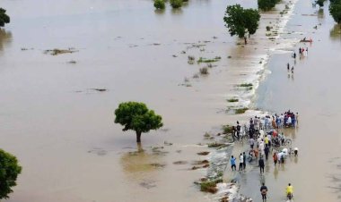 नाइजीरिया में बाढ़ से चार लाख से अधिक लोग प्रभावित : संरा