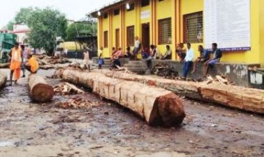 रथ निर्माण करने वाले कारीगर लौटे गांव, सफाई नहीं होने का लगाया आरोप