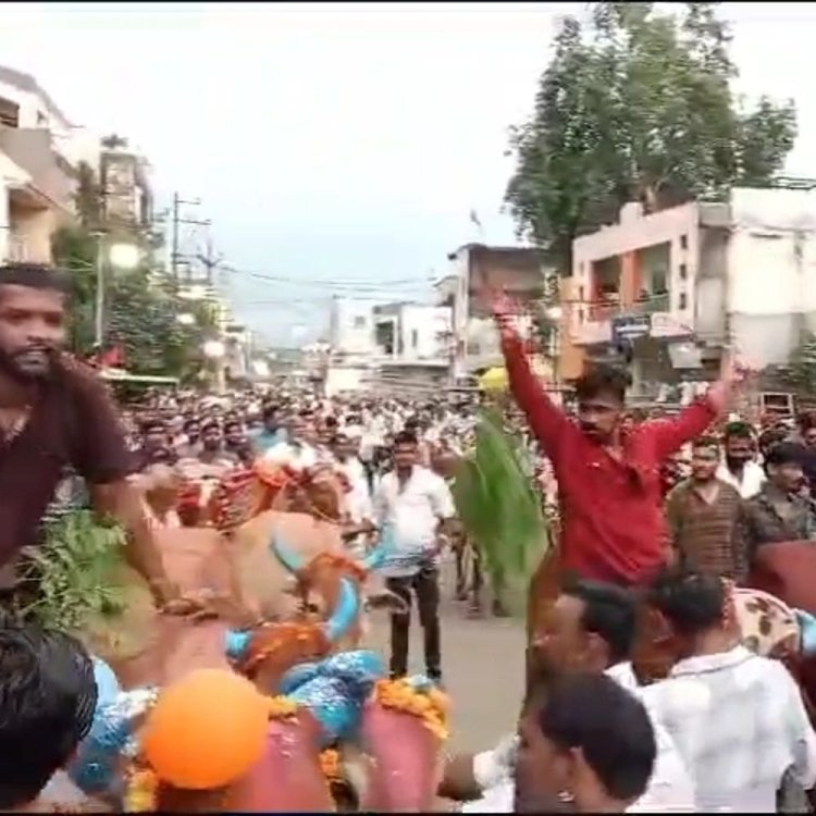 खरगोन में पोला उत्सव मनाया:बैलों को सजाकर जुलूस निकाला, किसानों ने तोरण तोड़ने की परंपरा निभाई