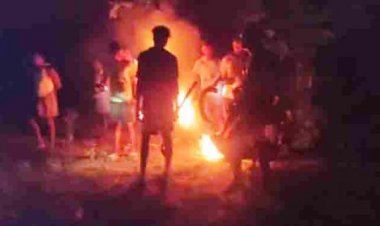 गांव के करीब पहुंचा हाथियों का बड़ा दल