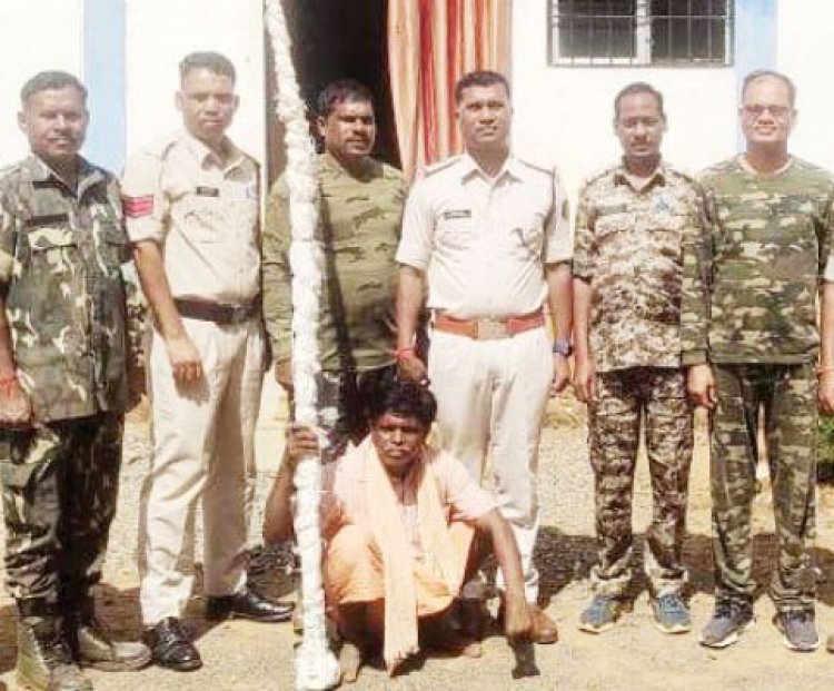 मक्का की आड़ में गांजा खेती, आरोपी बंदी