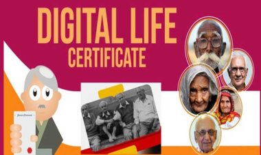 अब घर बैठे भी जीवन प्रमाण बनवा सकते हैं Digital Life Certificate, जाने क्या है तरीका