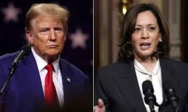 अमेरिका राष्ट्रपति चुनाव के लिए आज मतदान, जानिए कब आएंगे नतीजे