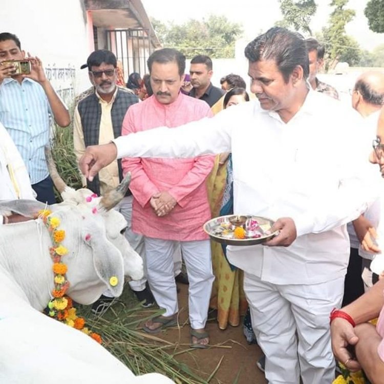 कामधेनु गौशाला में गोवर्धन पूजा का जिला स्तरीय कार्यक्रम आयोजित:जतारा विधायक हरिशंकर खटीक ने कलेक्टर के साथ किया गायों का पूजन