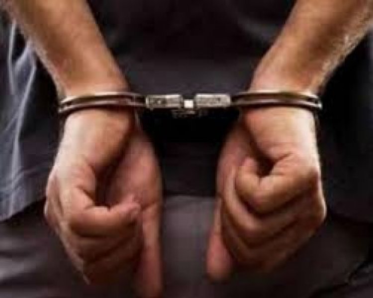 मानव तस्करी मुकदमे में गवाह ने कबूला: उसने 500 से अधिक भारतीय प्रवासियों को अमेरिका पहुंचाया