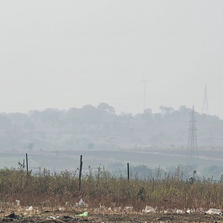 शाजापुर के तापमान में मामूली वृद्धि:दिसंबर के पहले सप्ताह से बढ़ेगी सर्दी; दिनभर चल रही ठंडी हवाएं, गुनगुनी धूप का सहारा ले रहे नगरवासी