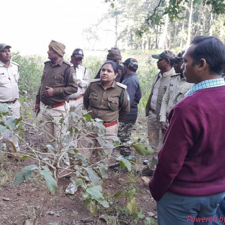 डिंडोरी में हाथियों से थे परेशान बाघ भी आ गया:घर तोड़े-फसल रौंदी और मवेशी को कुचला, बाघ को पकड़ने हो रही मशक्कत