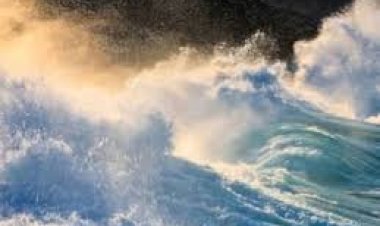 उत्तरी कैलिफोर्निया में 7.0 तीव्रता का भूकंप, हल्की सुनामी की चेतावनी जारी