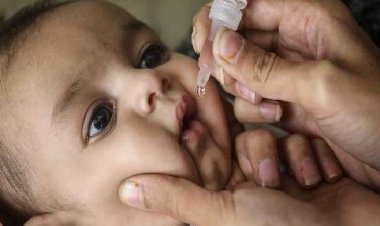 8 दिसंबर को पल्स पोलियो अभियान आयोजित:5 साल तक की उम्र के साढ़े तीन लाख बच्चों को पिलाई जाएगी दवा