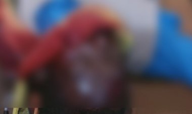 अज्ञात वाहन की टक्कर से किसान की मौत:मंडी में उपज बेचने निकला था; बडोरा चौक पर हुआ हादसा