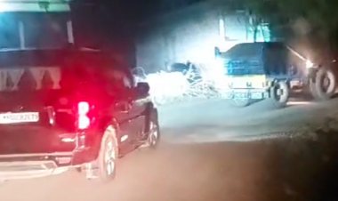 मुरैना में रेत माफिया को पकड़ने का LIVE VIDEO:वन अमले ने रात भर सर्चिंग कर तीन ट्रैक्टर ट्रॉली पकड़ी, रात का फायदा उठा भागे चालक