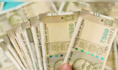 इंदौर में तीन दिनी जैविक-मिलेट्स उत्सव आज से:प्राकृतिक खेती पर एक्सपर्ट्स देंगे ट्रेनिंग; केमिकल फ्री कृषि उत्पाद पर जोर