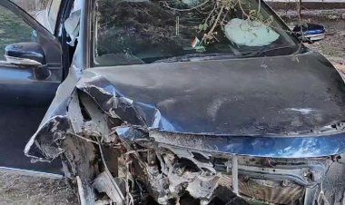 तीन अलग-अलग सड़क हादसे में शिक्षक समेत दो की मौत:​​​​​​​उदयपुरा में ट्रैक्टर-ट्रॉली ने बाइक को मारी टक्कर; बेगमगंज में अनियंत्रित कार डिवाइडर से टकराई