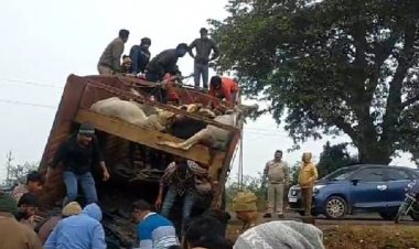 जबलपुर-दमोह रोड पर गोवंशों से भरा ट्रक पलटा:कई गोवंशों की मौत; मौके से ड्राइवर और कंडक्टर फरार