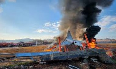 दक्षिण कोरिया विमान हादसे में मारे गए लोगों के परिजनों ने क्या कहा?