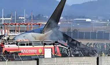 दक्षिण कोरिया में हवाई अड्डे पर विमान हादसे में मरने वालों की संख्या बढ़कर 167 हुई