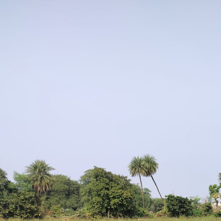 देवास मौसम अपडेट, सीजन में पहली बार पारा 7 डिग्री:रात के पारे में गिरावट होने से कंपकपाने वाली ठंड, बर्फीली हवाओं से चल रही शीतलहर