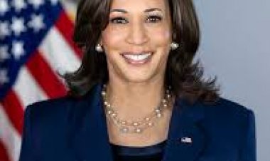 हैरिस ने उपराष्ट्रपति के रूप में अपनी अंतिम विदेश यात्रा से पहले कई देशों के नेताओं से की बातचीत