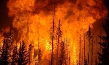 लॉस एंजेलिस में लगी आग किन इलाक़ों में कितनी फैली