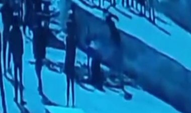 सूदखोर के गुंडों ने सरिए से किए 41 वार...VIDEO:30 हजार के ब्याज सहित 40 हजार लौटा चुका था घायल; परिजनों ने की एसपी से शिकायत