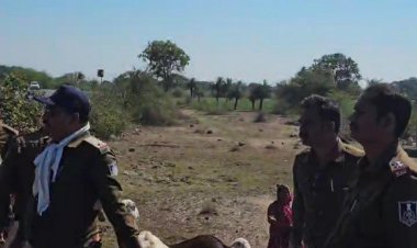 रतलाम में कंजर डेरों में पुलिस की रेड:चलते ट्रक से चुराए थे बकरे, पुलिस छुड़ाकर लाई; तीन कंजरों को हिरासत में लिया