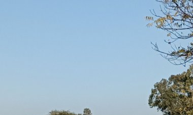 अशोकनगर में अधिकतम तापमान 3 डिग्री बढ़ा:ठंड का असर हुआ कम, न्यूनतम तापमान 4.8 डिग्री दर्ज