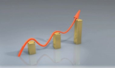 'क्यूआईपी' के जरिए प्राप्त निवेश 2024 में नई ऊंचाई पर, रियल एस्टेट सबसे आगे