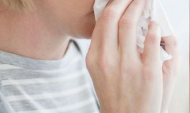 किर्गिस्तान : बढ़ रहे फ्लू के मामले, स्कूलों में छात्रों की उपस्थिति पर नजर रख रहा स्वास्थ्य मंत्रालय