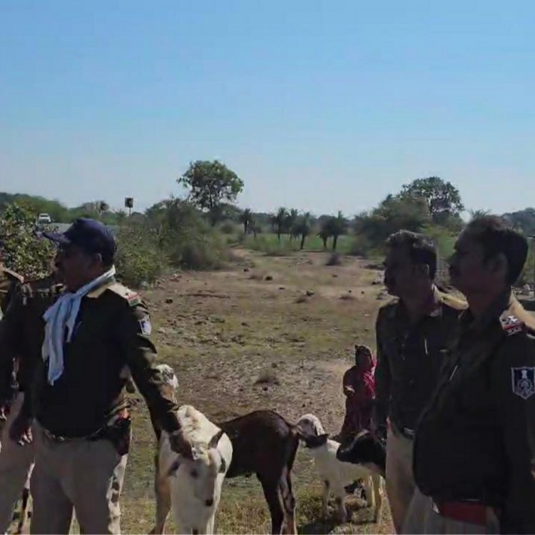 रतलाम में कंजर डेरों में पुलिस की रेड:चलते ट्रक से चुराए थे बकरे, पुलिस छुड़ाकर लाई; तीन कंजरों को हिरासत में लिया