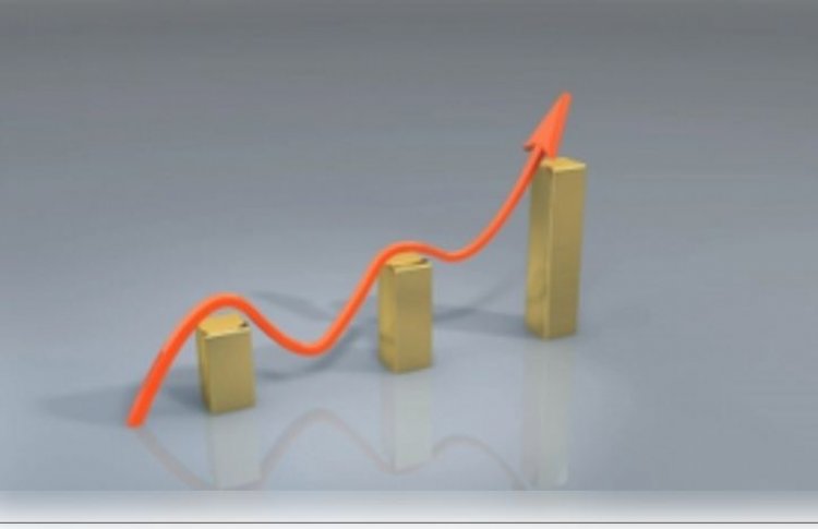 'क्यूआईपी' के जरिए प्राप्त निवेश 2024 में नई ऊंचाई पर, रियल एस्टेट सबसे आगे