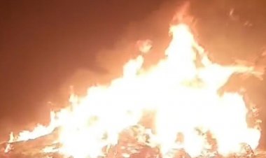 जमीनी विवाद में किसान की फसल को लगाई आग:सीमांकन के बाद पहली बार बोई थी सरसों-मसूर, 3 लाख का नुकसान